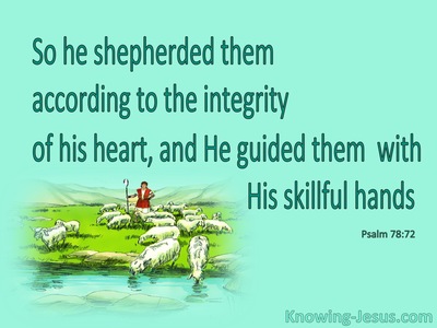 Psalm 78:72 He Shepherded Them in Integrity (aqua)